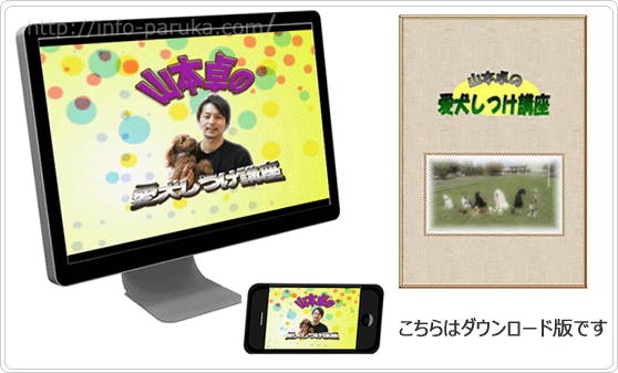 yamamoto-learningtool