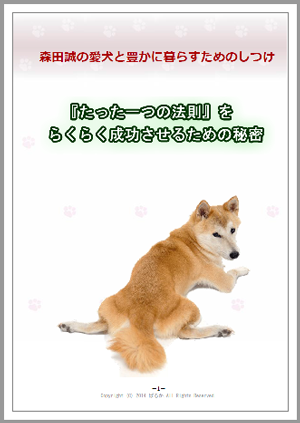 『森田誠の愛犬しつけ法』限定特典を追加！「森田誠の犬しつけをラクラク成功させるための秘密」